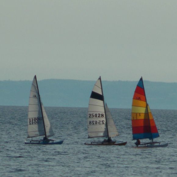 Meet your Posher, Zoe - Picture 1 of 1